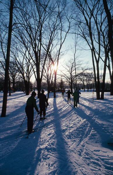 Park Angrignon